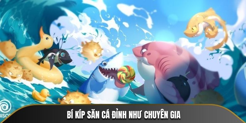 Bí kíp săn cá đỉnh như chuyên gia