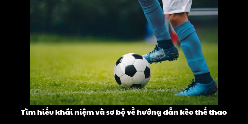Tìm hiểu khái niệm và sơ bộ về hướng dẫn kèo thể thao