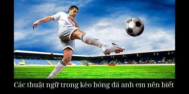 Các thuật ngữ trong kèo bóng đá anh em nên biết