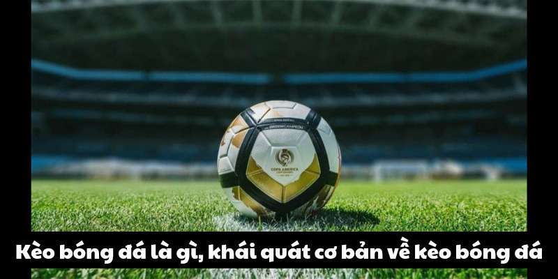 Kèo bóng đá là gì, khái quát cơ bản về kèo bóng đá