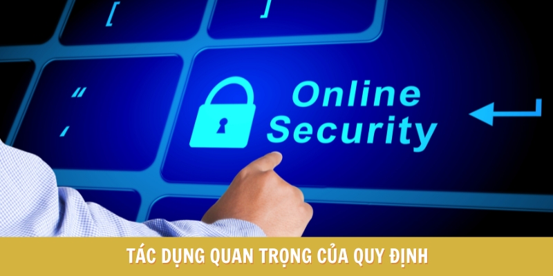 Tầm quan trọng của quy định