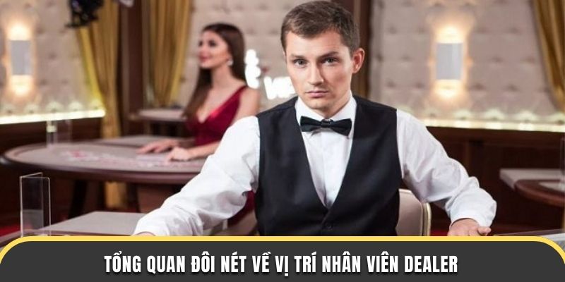 Tổng quan đôi nét về vị trí nhân viên dealer